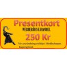 Presentkort 250 Kr